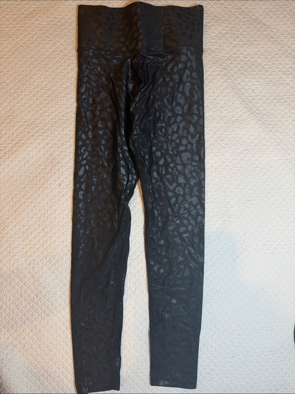 Carbon38 Leopard Takara Shine 7/8 Leggings Black XS NWOT